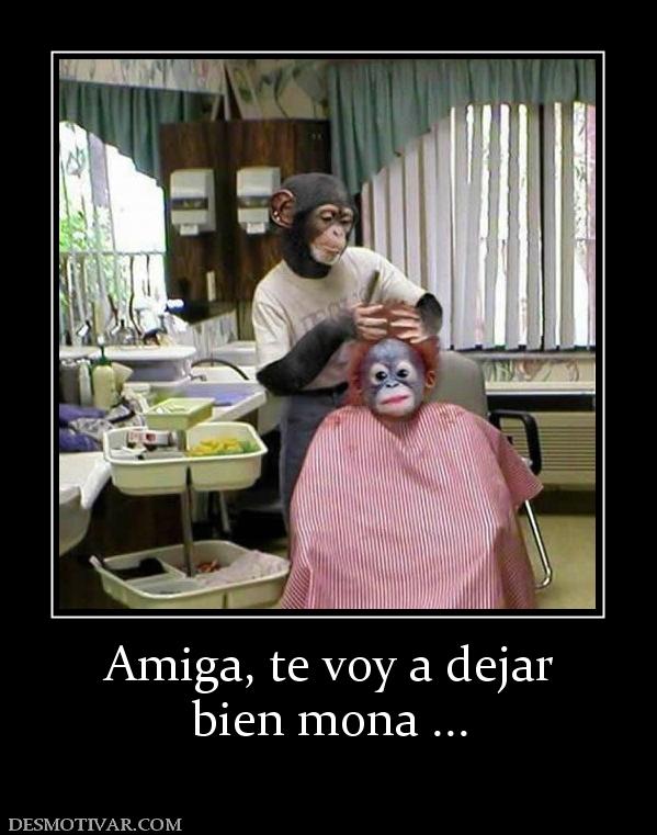 Amiga, te voy a dejar bien mona ...