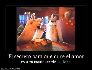 El secreto para que dure el amor está en mantener viva la llama