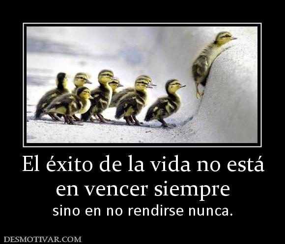 El éxito de la vida no está en vencer siempre sino en no rendirse nunca.