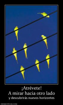 ¡Atrévete! A mirar hacia otro lado y descubrirás nuevos horizontes