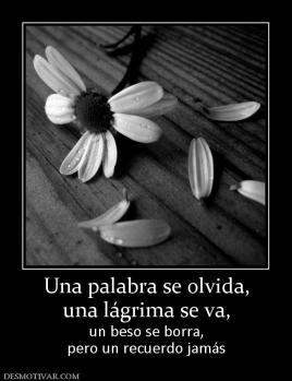 Una palabra se olvida, una lágrima se va, un beso se borra, pero un recuerdo jamás