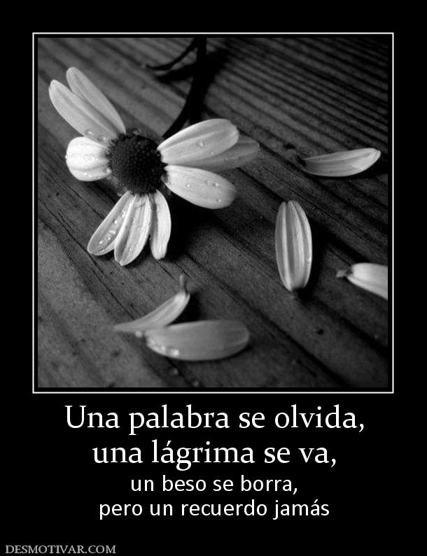 Una palabra se olvida, una lágrima se va, un beso se borra, pero un recuerdo jamás