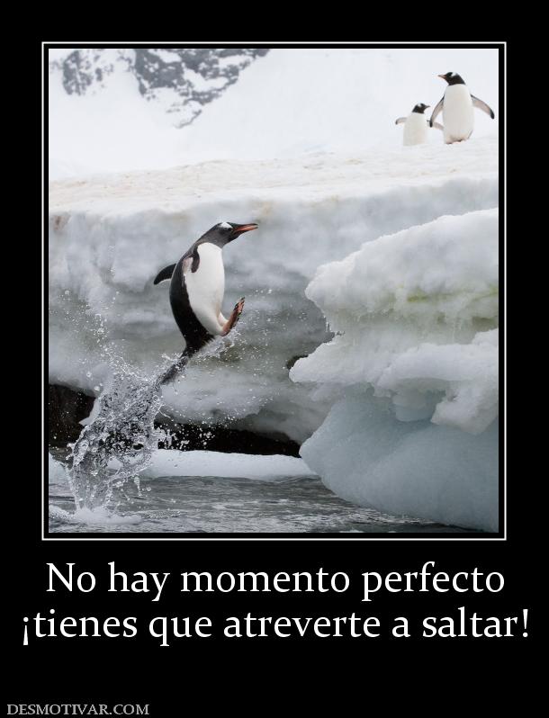 No hay momento perfecto ¡tienes que atreverte a saltar!
