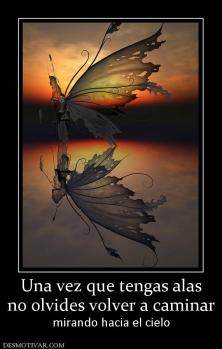 Una vez que tengas alas no olvides volver a caminar  mirando hacia el cielo