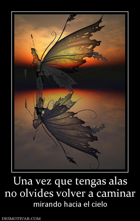 Una vez que tengas alas no olvides volver a caminar  mirando hacia el cielo