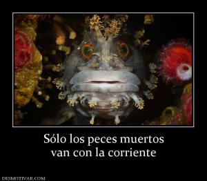 Sólo los peces muertos van con la corriente