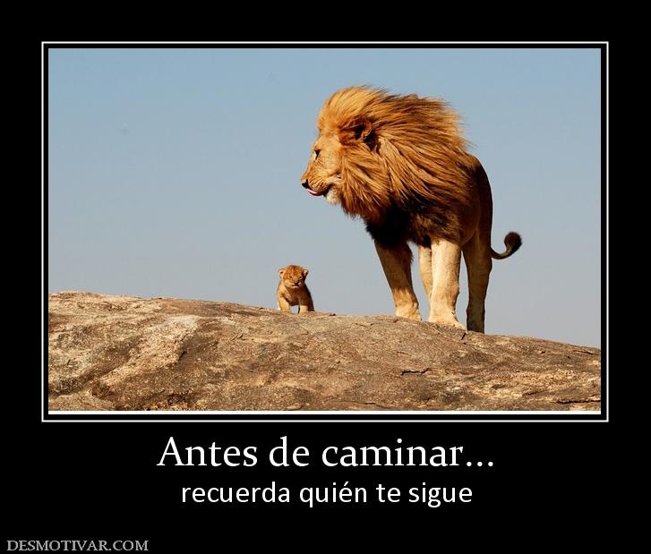 Antes de caminar... recuerda quién te sigue