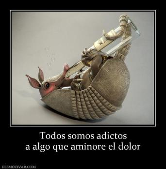 Todos somos adictos a algo que aminore el dolor