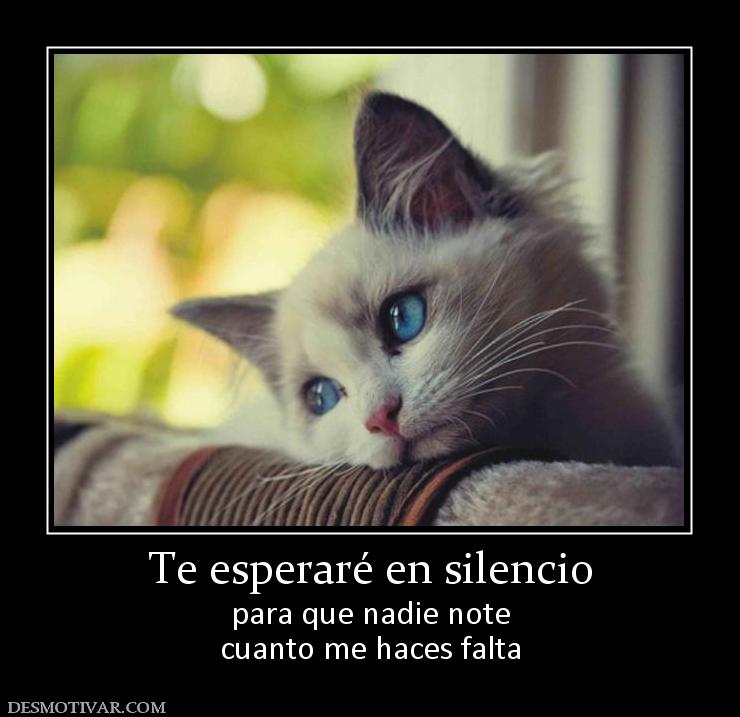Te esperaré en silencio para que nadie note cuanto me haces falta