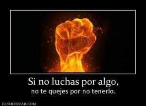 Si no luchas por algo, no te quejes por no tenerlo.
