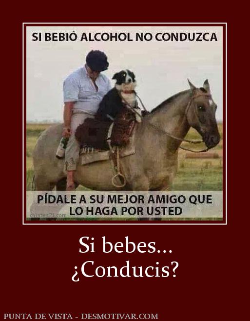 Si bebes... ¿Conducis?