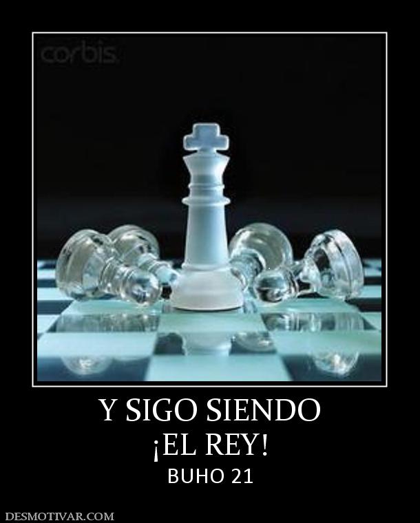 Y SIGO SIENDO ¡EL REY! BUHO 21