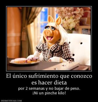 El único sufrimiento que conozco es hacer dieta  por 2 semanas y no bajar de peso. ¡Ni un pinche kilo!