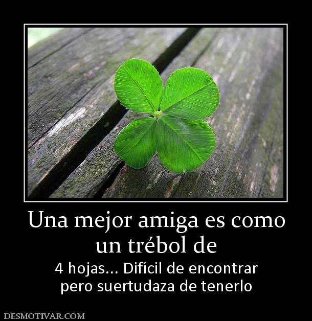 Una mejor amiga es como un trébol de  4 hojas... Difícil de encontrar pero suertudaza de tenerlo