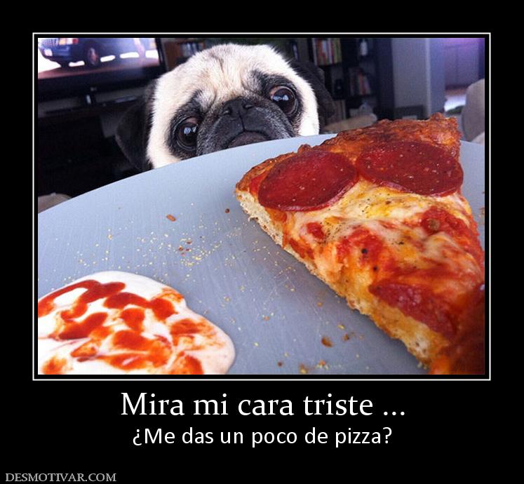 Mira mi cara triste ... ¿Me das un poco de pizza?