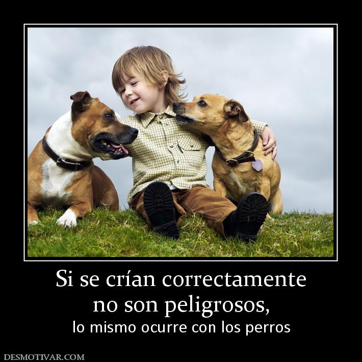 Si se crían correctamente no son peligrosos, lo mismo ocurre con los perros