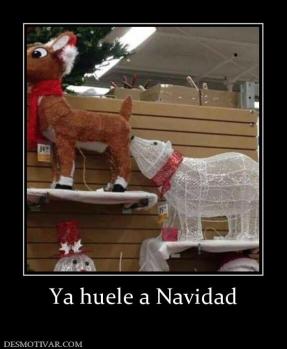 Ya huele a Navidad