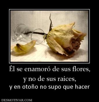 Él se enamoró de sus flores, y no de sus raices, y en otoño no supo que hacer