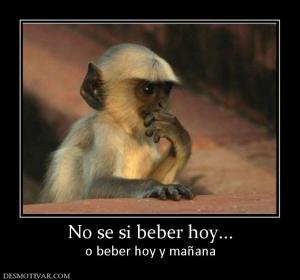 No se si beber hoy... o beber hoy y mañana