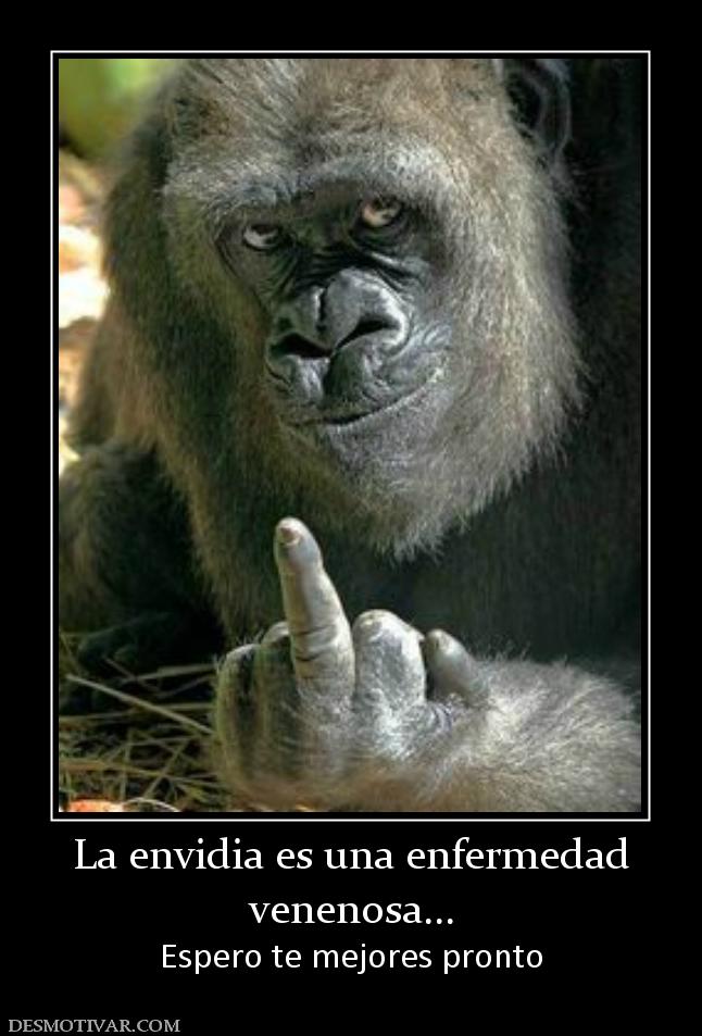 La envidia es una enfermedad venenosa... Espero te mejores pronto
