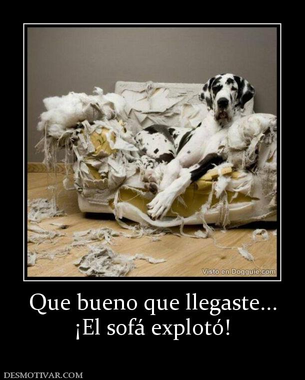 Que bueno que llegaste... ¡El sofá explotó!