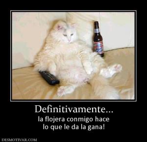 Definitivamente... la flojera conmigo hace lo que le da la gana!