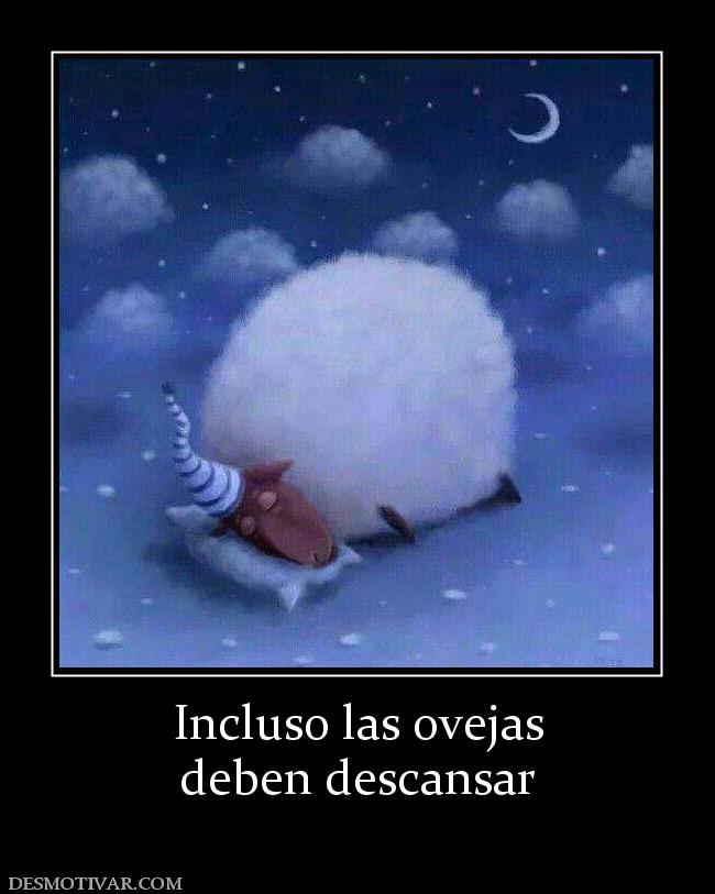 Incluso las ovejas deben descansar