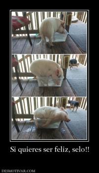 Si quieres ser feliz, selo!!