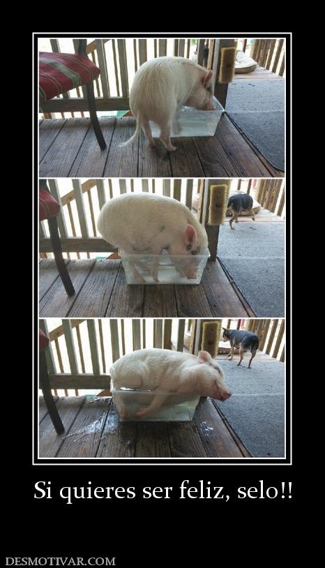 Si quieres ser feliz, selo!!