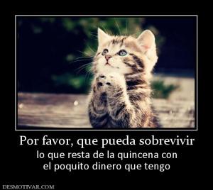 Por favor, que pueda sobrevivir lo que resta de la quincena con el poquito dinero que tengo