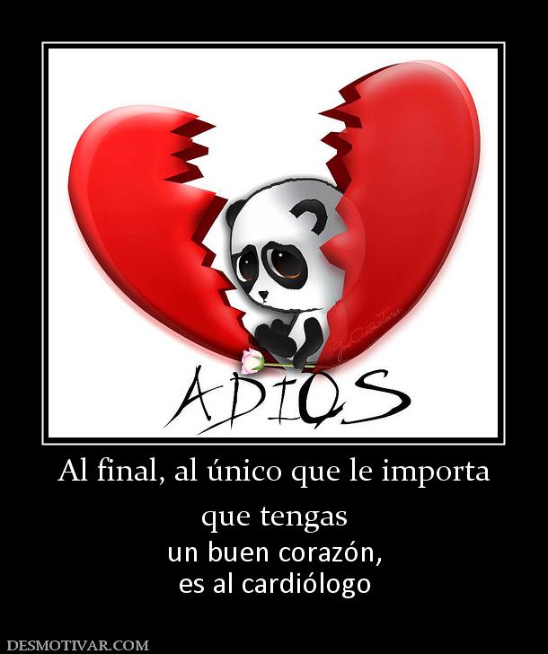 Al final, al único que le importa que tengas un buen corazón, es al cardiólogo