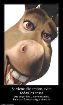 Se viene diciembre, evita todas las cosas que engordan ... como espejos, balanzas, fotos y amigos sinceros