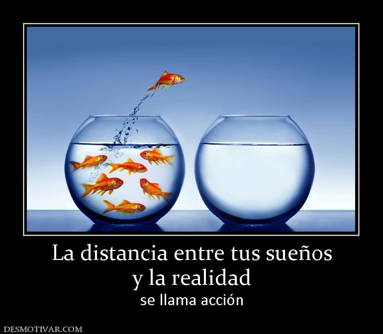 La distancia entre tus sueños y la realidad se llama acción