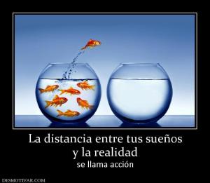 La distancia entre tus sueños y la realidad se llama acción