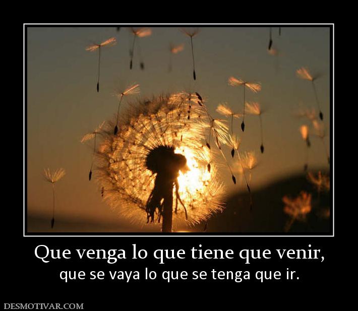 Que venga lo que tiene que venir, que se vaya lo que se tenga que ir.