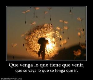 Que venga lo que tiene que venir, que se vaya lo que se tenga que ir.