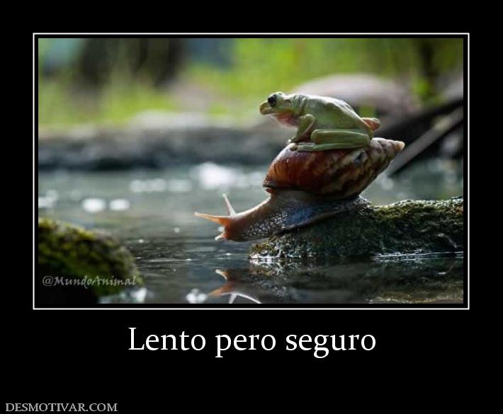 Lento pero seguro