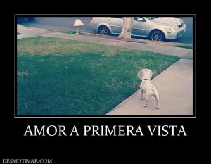 AMOR A PRIMERA VISTA