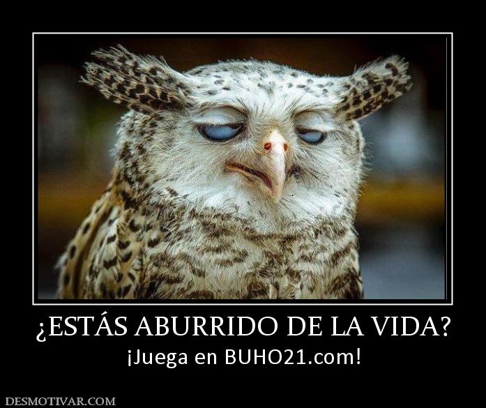 ¿ESTÁS ABURRIDO DE LA VIDA? ¡Juega en BUHO21.com!