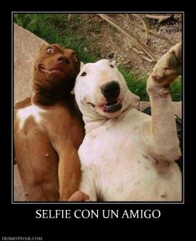 SELFIE CON UN AMIGO