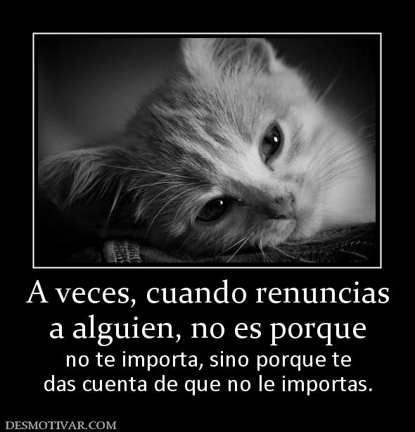 A veces, cuando renuncias a alguien, no es porque  no te importa, sino porque te das cuenta de que no le importas.