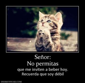 Señor: No permitas que me inviten a beber hoy. Recuerda que soy débil