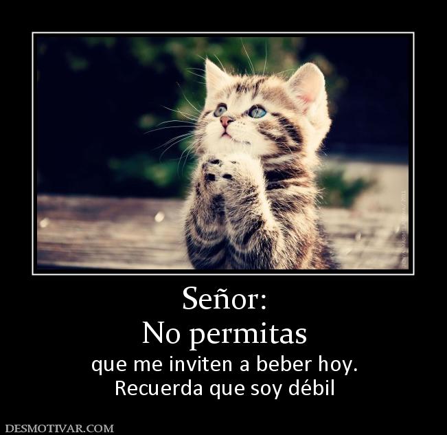 Señor: No permitas que me inviten a beber hoy. Recuerda que soy débil