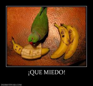 ¡QUE MIEDO!