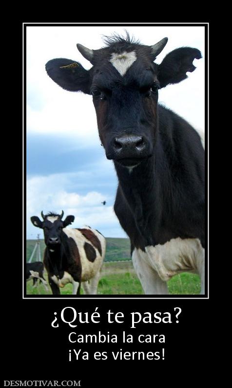 ¿Qué te pasa? Cambia la cara ¡Ya es viernes!
