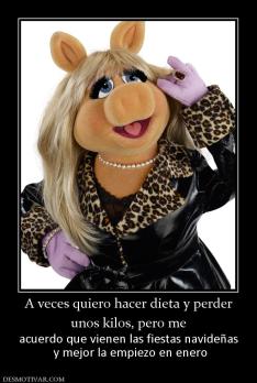 A veces quiero hacer dieta y perder unos kilos, pero me acuerdo que vienen las fiestas navideñas  y mejor la empiezo en enero