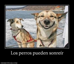 Los perros pueden sonreír