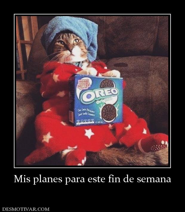 Mis planes para este fin de semana
