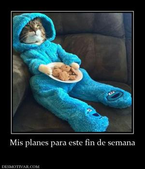 Mis planes para este fin de semana