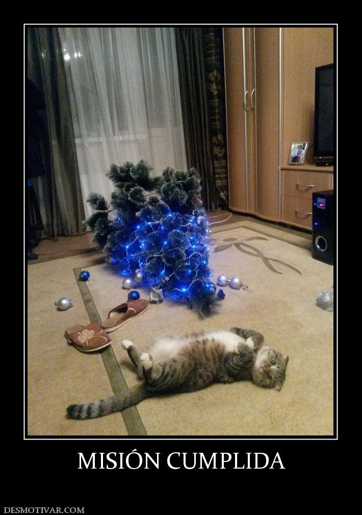 MISIÓN CUMPLIDA